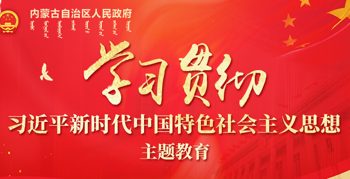 学习贯彻习近平新时代中国特色社会主义思想主题教育